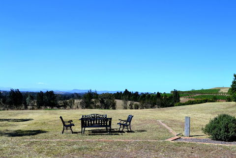 Grapevines Boutique Accommodation - Accommodation Georgetown 18