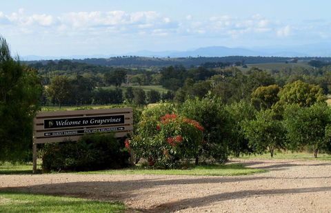 Grapevines Boutique Accommodation - Accommodation Georgetown 15