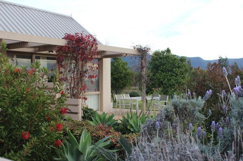 Grapevines Boutique Accommodation - Accommodation Georgetown 28