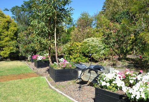 Grapevines Boutique Accommodation - Accommodation Georgetown 17