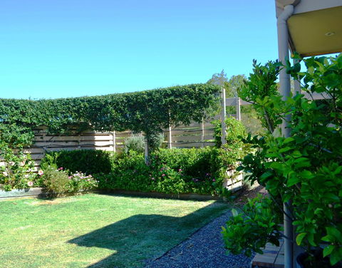 Grapevines Boutique Accommodation - Accommodation Georgetown 14