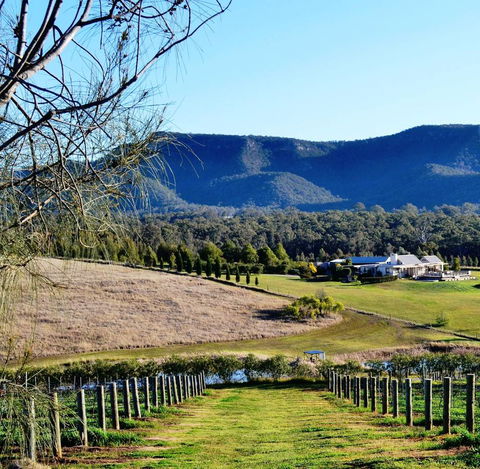 Grapevines Boutique Accommodation - Accommodation Georgetown 5