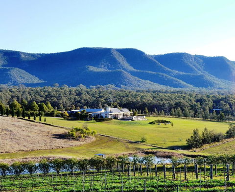 Grapevines Boutique Accommodation - Accommodation Georgetown 0