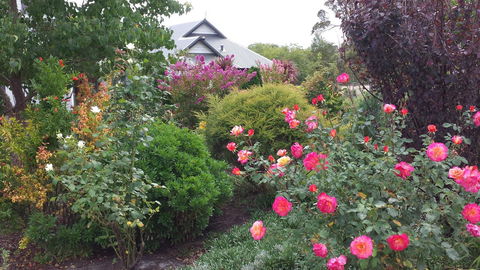 Glenelg On King Bed & Breakfast - Accommodation Georgetown 15