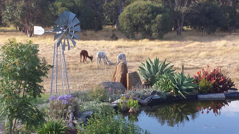 Glenelg On King Bed & Breakfast - Accommodation Georgetown 19