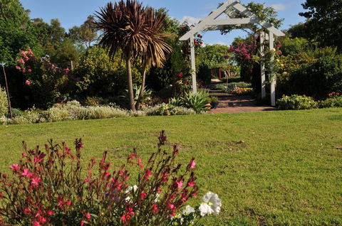 Glenelg On King Bed & Breakfast - Accommodation Georgetown 16