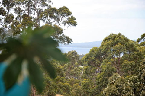 The Floating Forest - Accommodation Georgetown 8