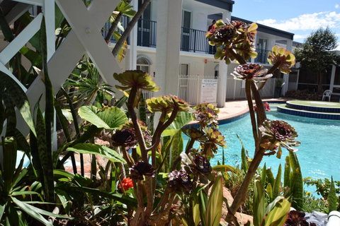 West Beach Lagoon 220 Stylish And Cozy - Accommodation Georgetown 18