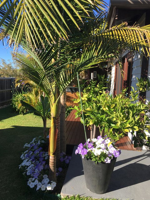 Bella Bali Gardens - Accommodation Georgetown 23