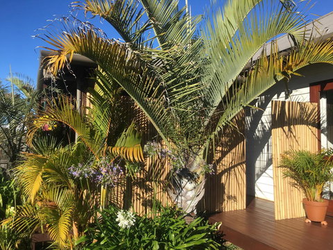 Bella Bali Gardens - Accommodation Georgetown 7