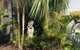 Bella Bali Gardens - thumb 28