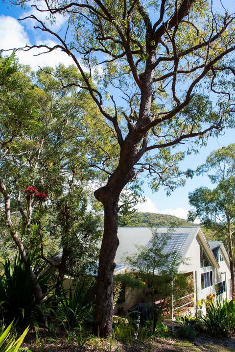 Nelson Bay Bed & Breakfast - Accommodation Georgetown 42