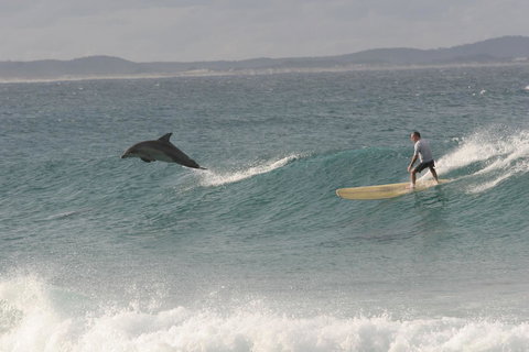 Crescent Head Spa Villa - Accommodation Georgetown 22