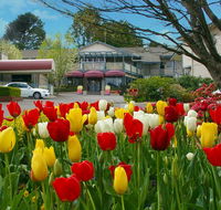 Nesuto Leura Gardens formerly Waldorf Leura Gardens Resort - Accommodation Georgetown