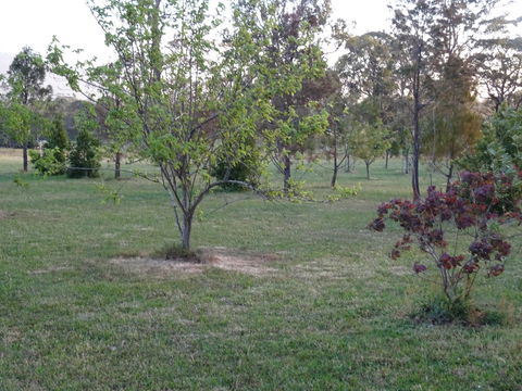 Romanz In The Valley (Luxury B&B) - Accommodation Georgetown 32