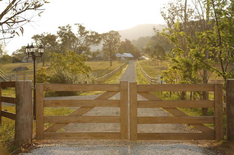 Romanz In The Valley (Luxury B&B) - Accommodation Georgetown 35