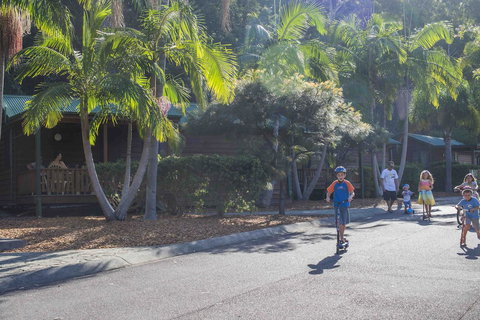 The Palms At Avoca - Accommodation Georgetown 14