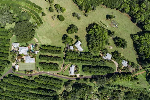Byron Hinterland Villas - Accommodation Georgetown 17