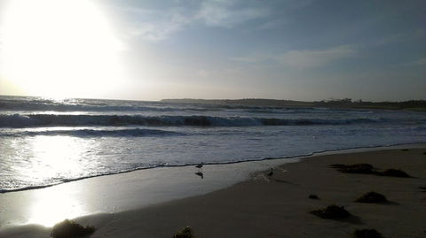 Sweet Spot Shellharbour - Accommodation Georgetown 14