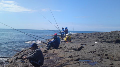 Sweet Spot Shellharbour - Accommodation Georgetown 13