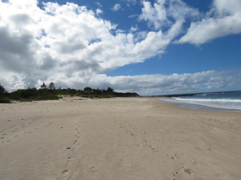 Sweet Spot Shellharbour - Accommodation Georgetown 15