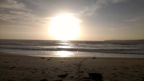 Sweet Spot Shellharbour - Accommodation Georgetown 16