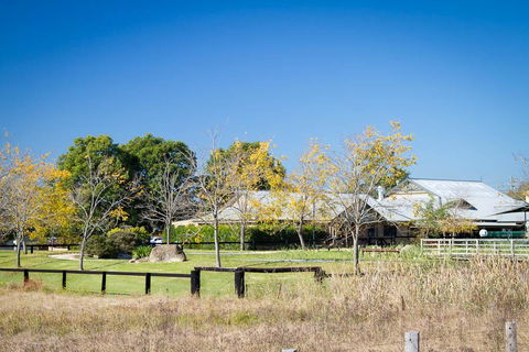 Potters Apartments - Accommodation Georgetown 26