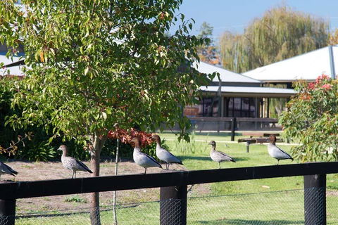 Potters Apartments - Accommodation Georgetown 25