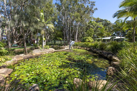 Flynns Beach Resort - Accommodation Georgetown 8