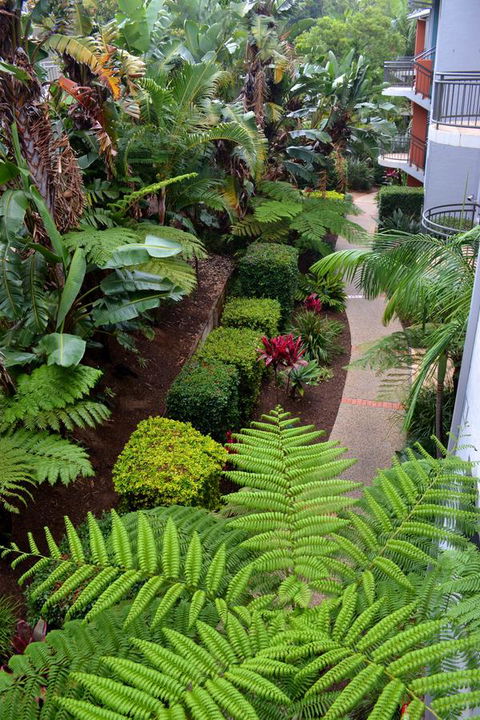 Flynns Beach Resort - Accommodation Georgetown 17