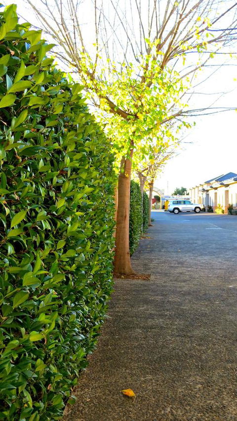 Best Western Plus Goulburn - Accommodation Georgetown 37