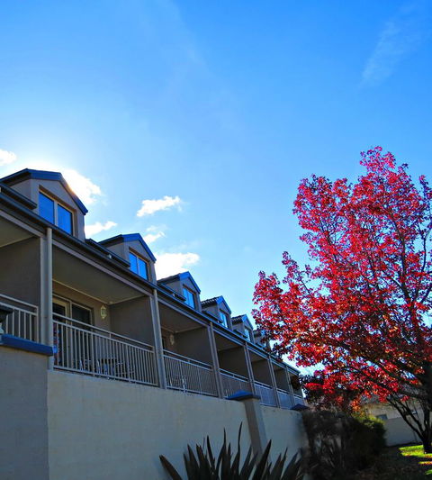 Best Western Plus Goulburn - Accommodation Georgetown 9