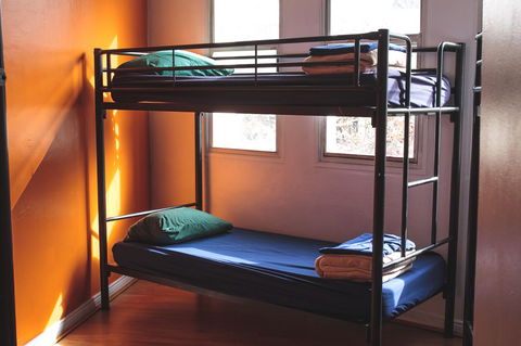 Mad Monkey Kings Cross - Accommodation Georgetown 29
