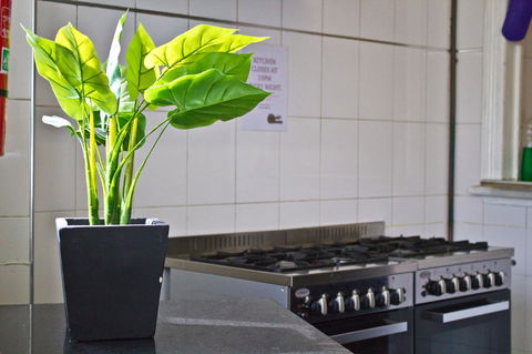 Mad Monkey Kings Cross - Accommodation Georgetown 19