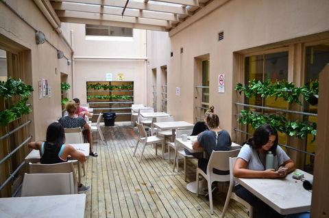 Maze Backpackers - Sydney - Accommodation Georgetown 3