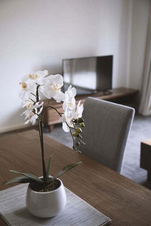 Quest Wagga Wagga - Accommodation Georgetown 11