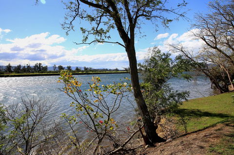 Terara Riverside Retreat - Accommodation Georgetown 27
