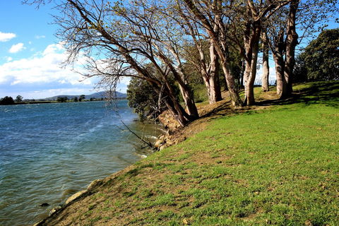 Terara Riverside Retreat - Accommodation Georgetown 32