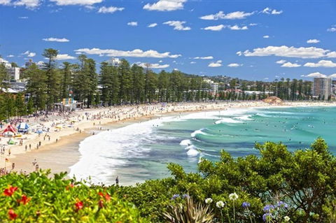 Oversized 2 Bedroom Manly Beach House - Accommodation Georgetown 12