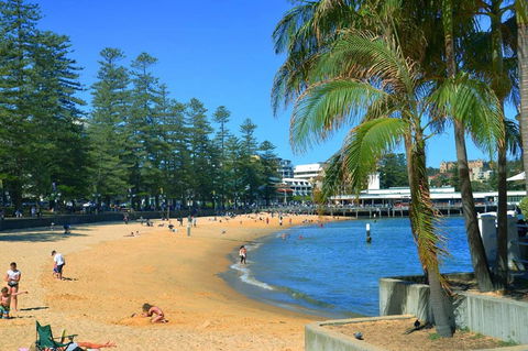 Oversized 2 Bedroom Manly Beach House - Accommodation Georgetown 14