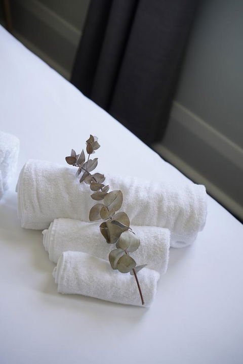 Rosehill Hotel - Accommodation Georgetown 29