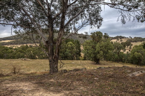Pound Creek Gallery - Accommodation Georgetown 29