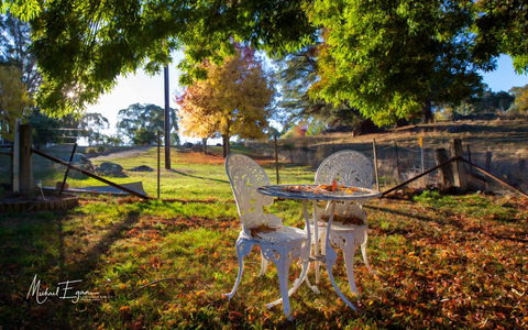 Pound Creek Gallery - Accommodation Georgetown 27