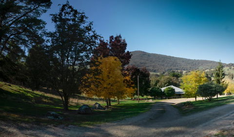 Pound Creek Gallery - Accommodation Georgetown 7
