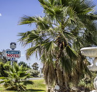 Allonville Gardens Motel - Accommodation Georgetown