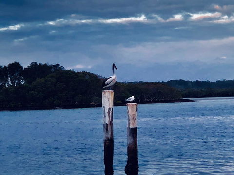 Boathouse Resort (Water Front) - Accommodation Georgetown 15