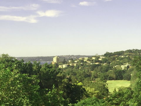 Luxury House In Bondi Junction - Accommodation Georgetown 15
