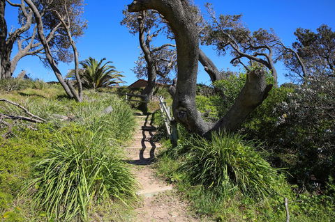 Abode @ Culburra - Pet Friendly - 4 Mins To Beach - Accommodation Georgetown 25