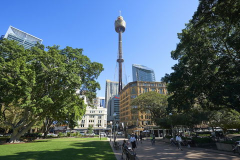 Pullman Sydney Hyde Park - Accommodation Georgetown 17