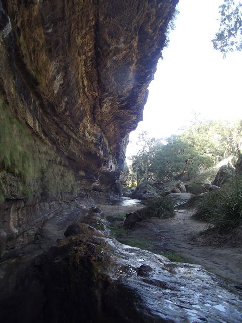 Winning Post Motor Inn - Accommodation Georgetown 22